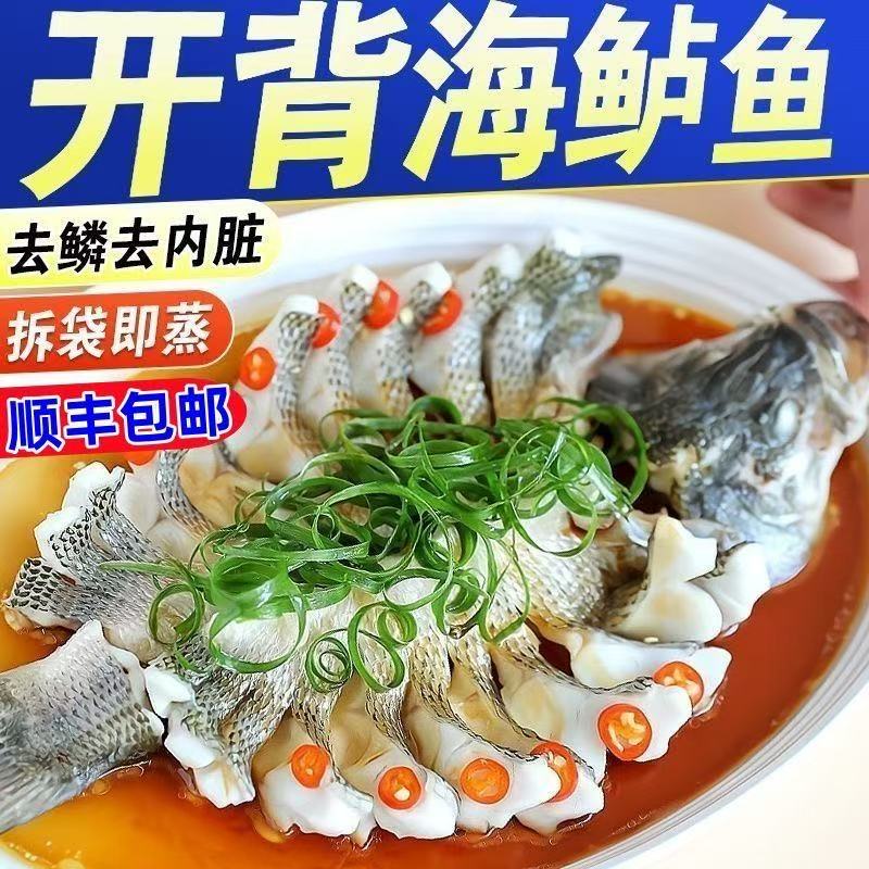 开背海鲈鱼新鲜冷冻去鳞去鳃去内脏顺丰冷链鲜活深海鱼商用