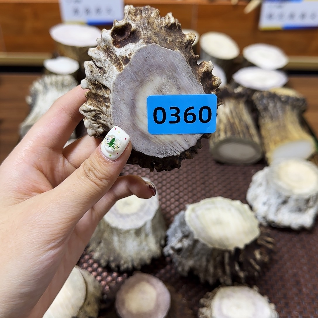 鹿骨手串/手链角帽0360