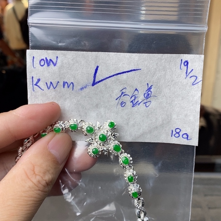 定制翡翠未镶嵌家****兽项链