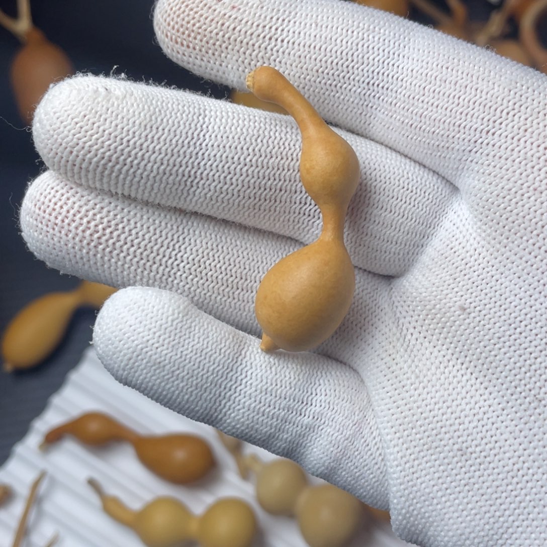 直播间专拍文玩葫芦 