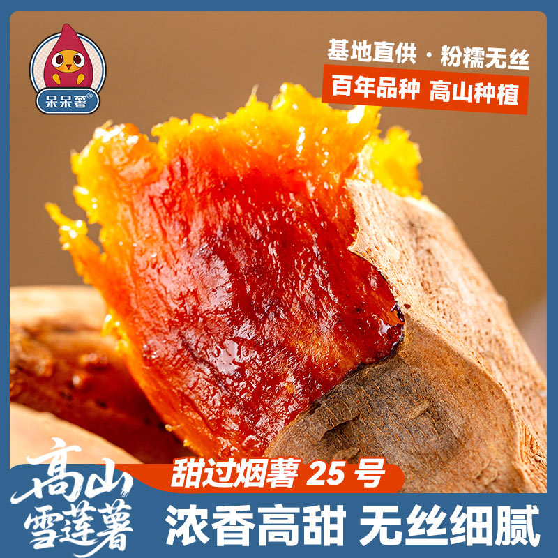 云贵稀有品种【高山雪莲薯】3/4.5/9斤 丝滑糖心蜜薯红薯皮薄番薯