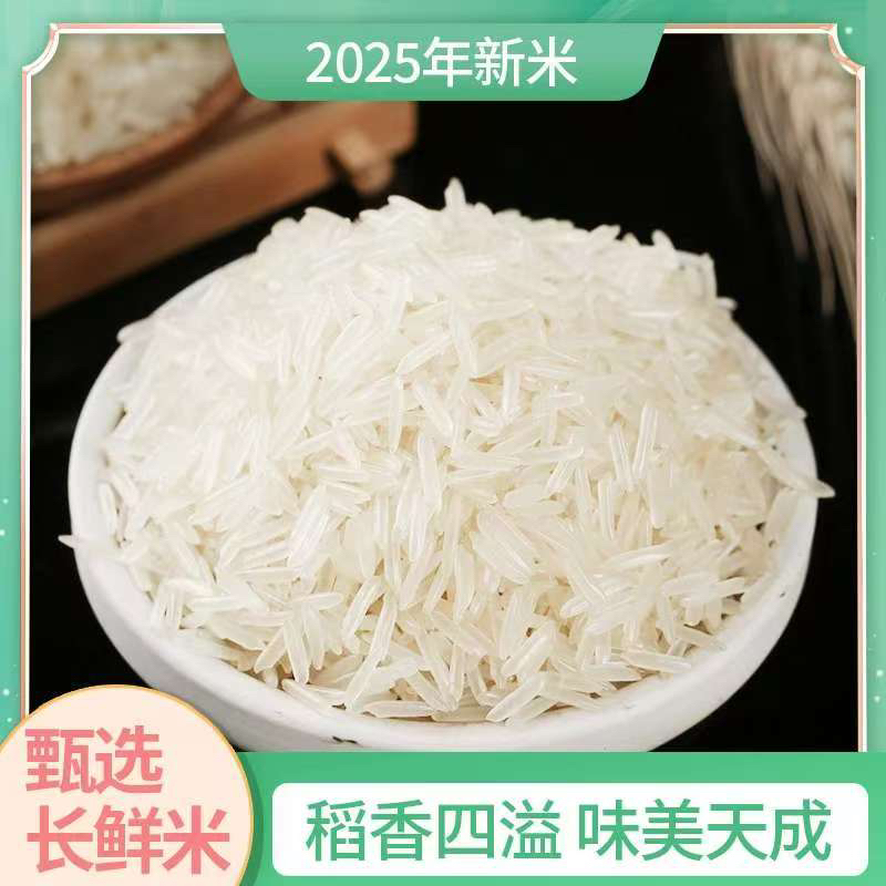【长粒猫牙香米10斤】当季新米长粒香米猫牙米南方晚稻籼米丝苗米