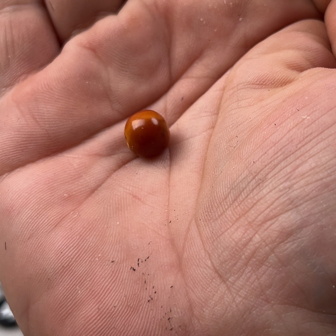 词***p蜜蜡未镶嵌颈饰老蜜蜡