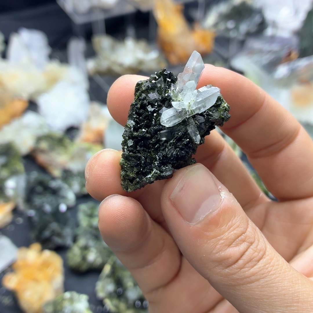 石材绅士蝴蝶结家园