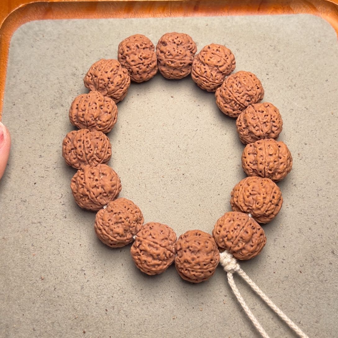 菩提9号金刚菩提安娜梅花22