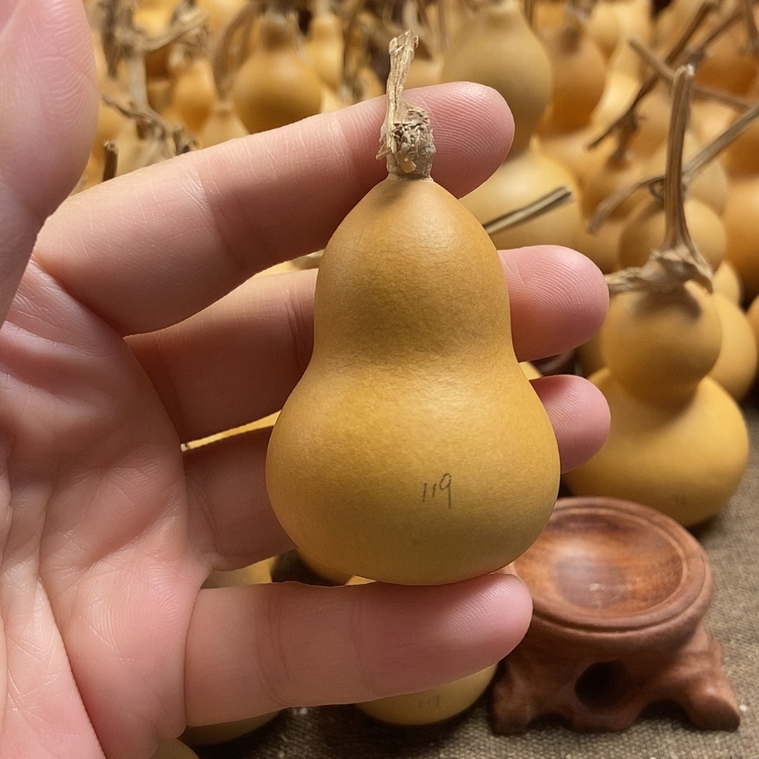 文玩葫芦 完美主义者 慎拍119