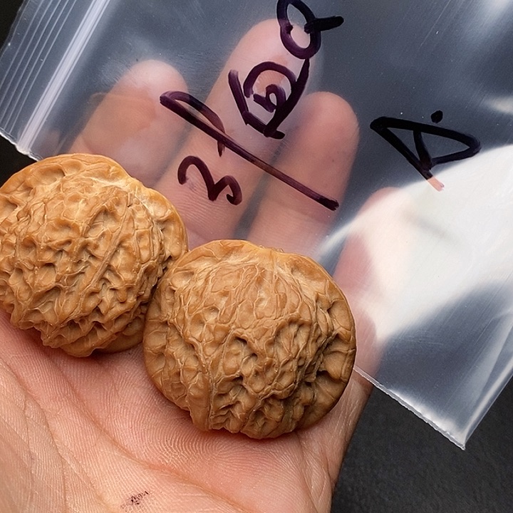 【闪购商品】文玩核桃把件血亲近