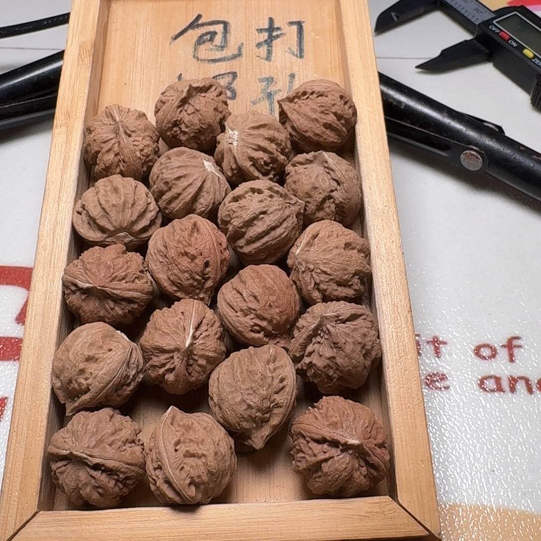 核桃手串/手链68号边27手持