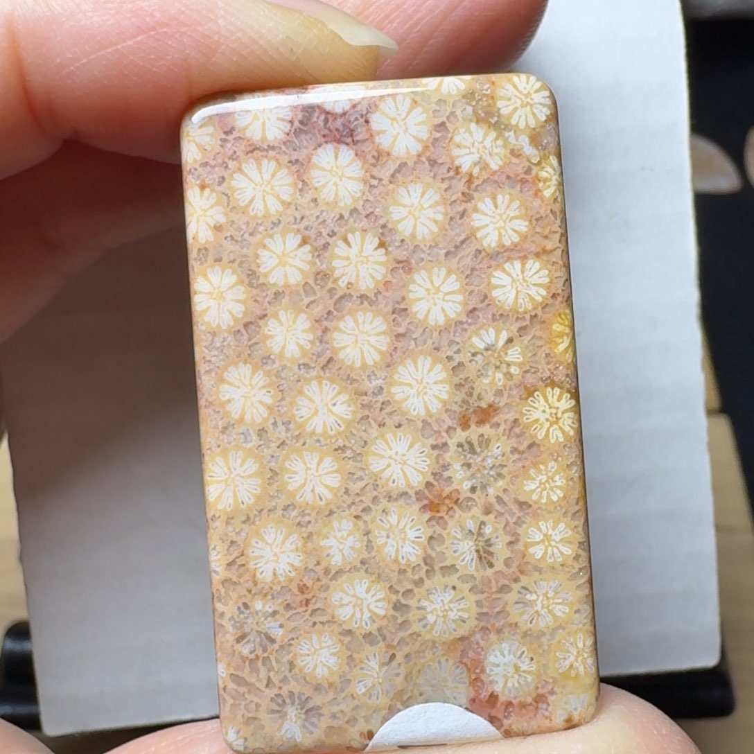 硅化玉彩花花未镶嵌