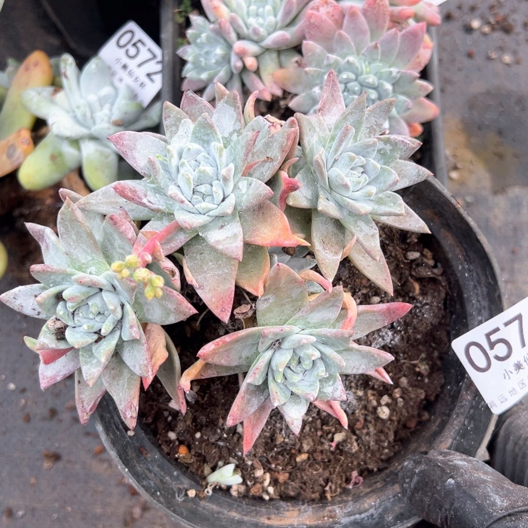 574哈哈哈哈哈哈哈哈