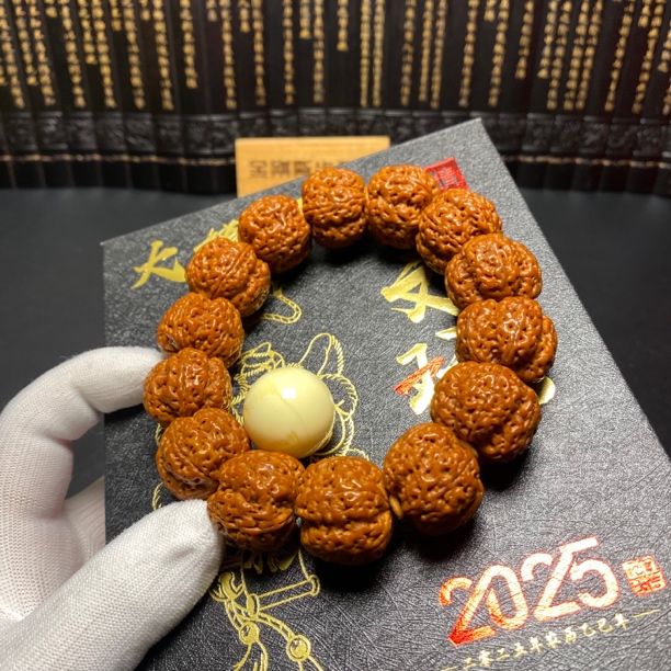 超头严选：老树铁籽梅花（8号）