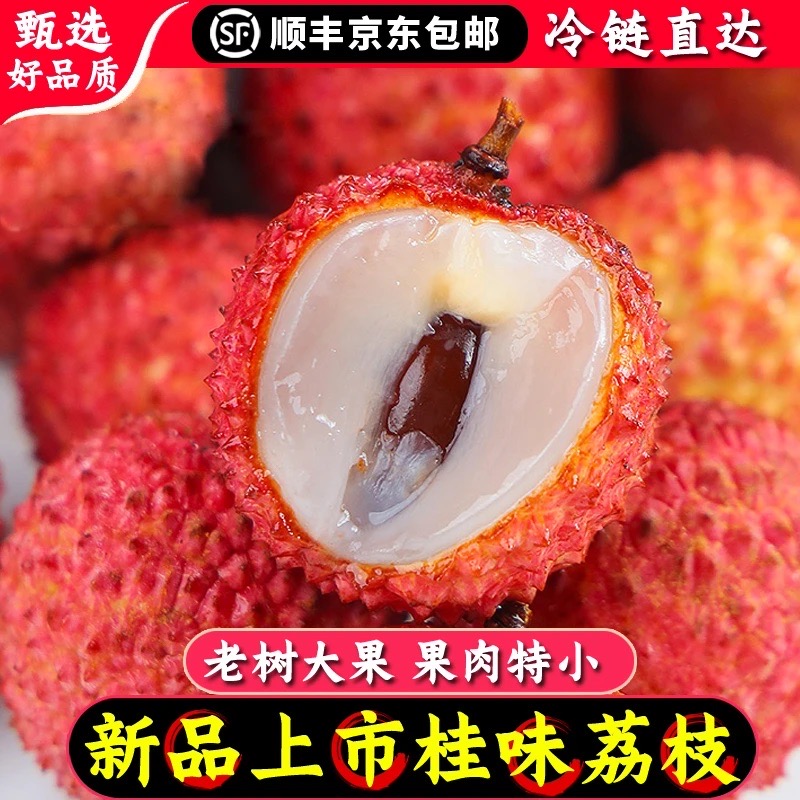 【冷链直发】广东桂味荔枝茂名高州新鲜现摘应季水果整箱达zsc