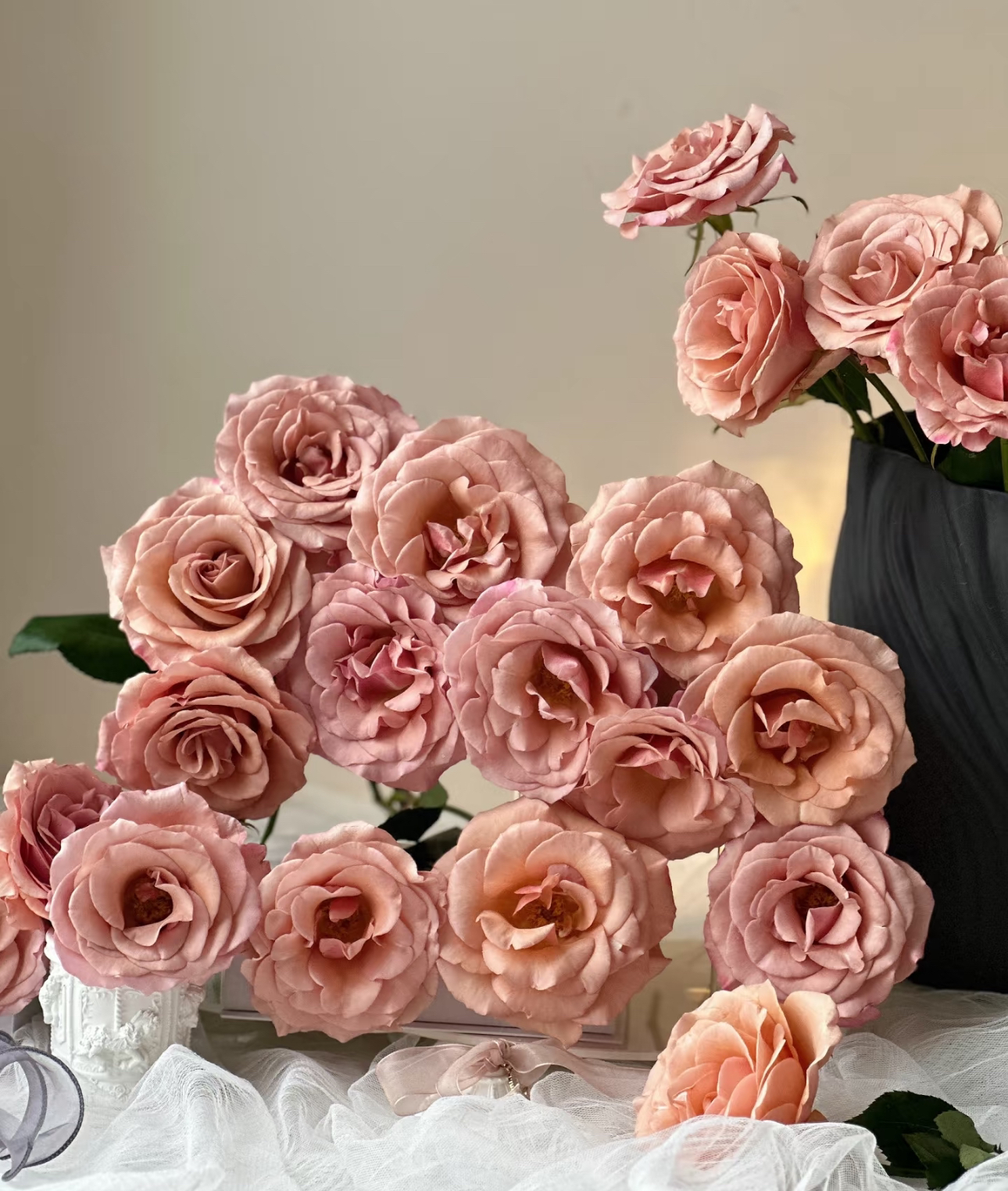 【买二单赠一】莫泊 Moab rose 容易开炸