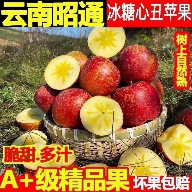 百果丝路2025年云南昭通丑苹果当季新鲜现摘脆甜多汁冰糖心水果