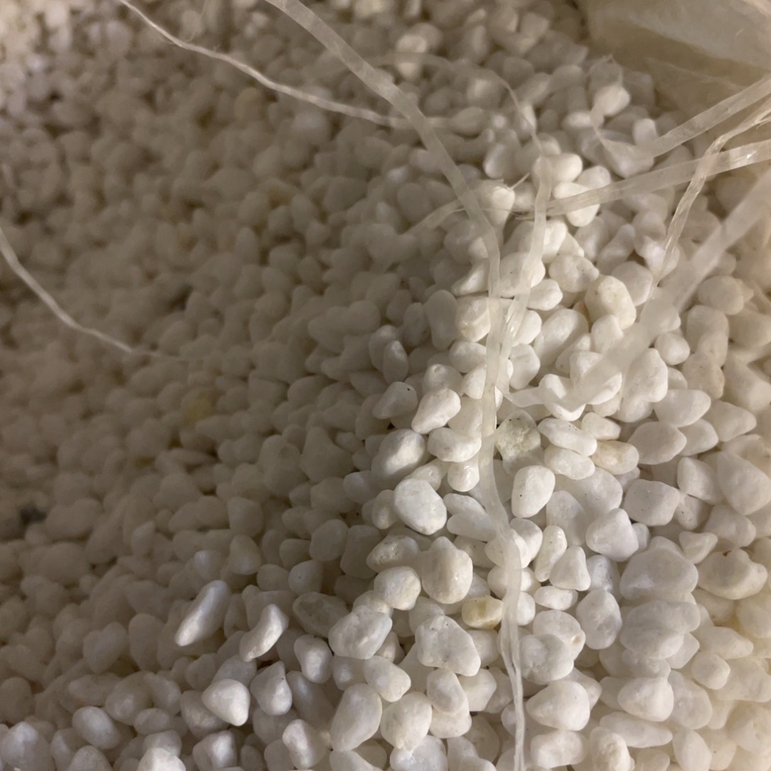 多肉植物盆栽多肉