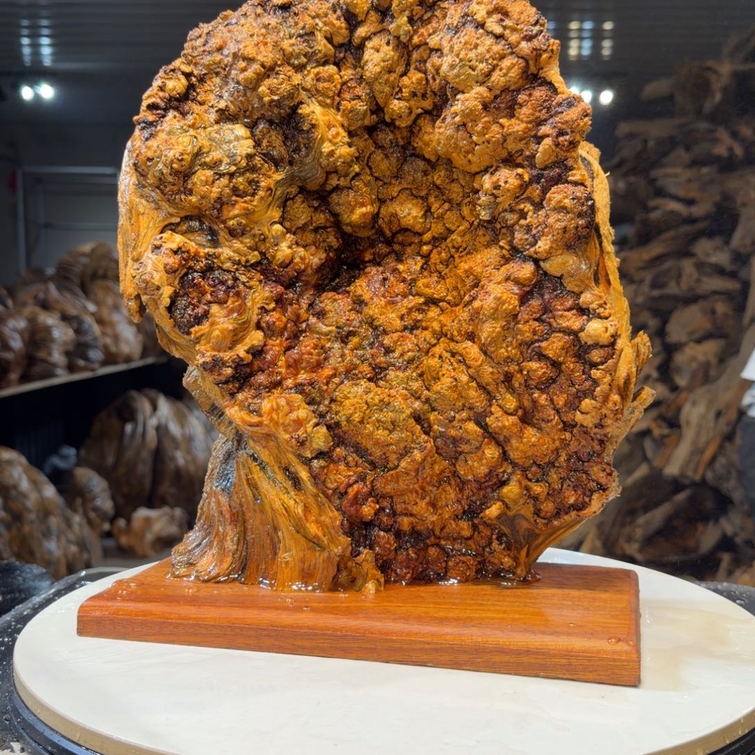 永***天木王一刀琥珀木摆件59