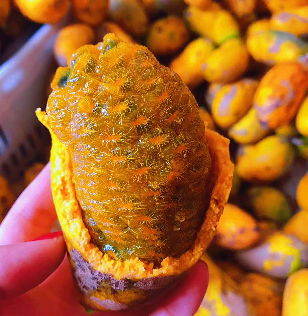 新鲜九月黄水果八月瓜牛卵坨麻藤甜瓜牛卵坨