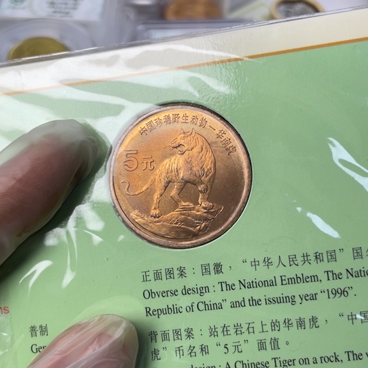 其他普通金属五彩华南虎一个