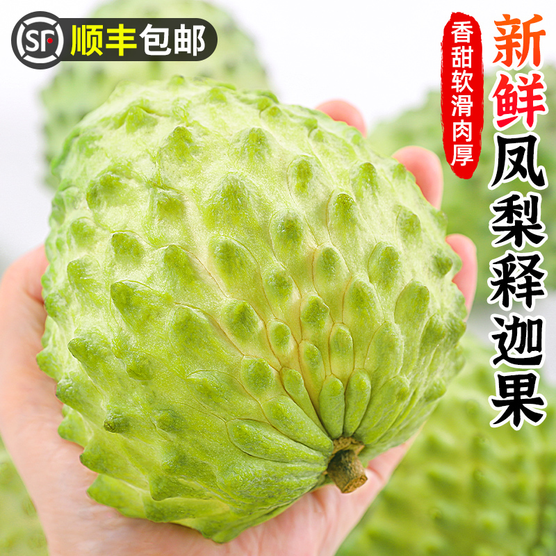 【顺丰】云南释迦果现摘现发软糯香甜剥皮即食佛头果无涩味热带珍果