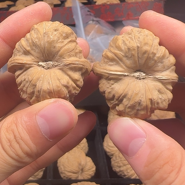 熙***淳龙脊菩提吊坠啊啊啊啊啊啊啊南瓜2