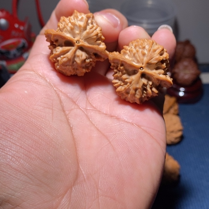 自*文玩核桃珊瑚塔核桃