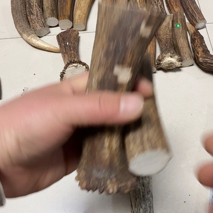 香榧木鹿角工艺品原料