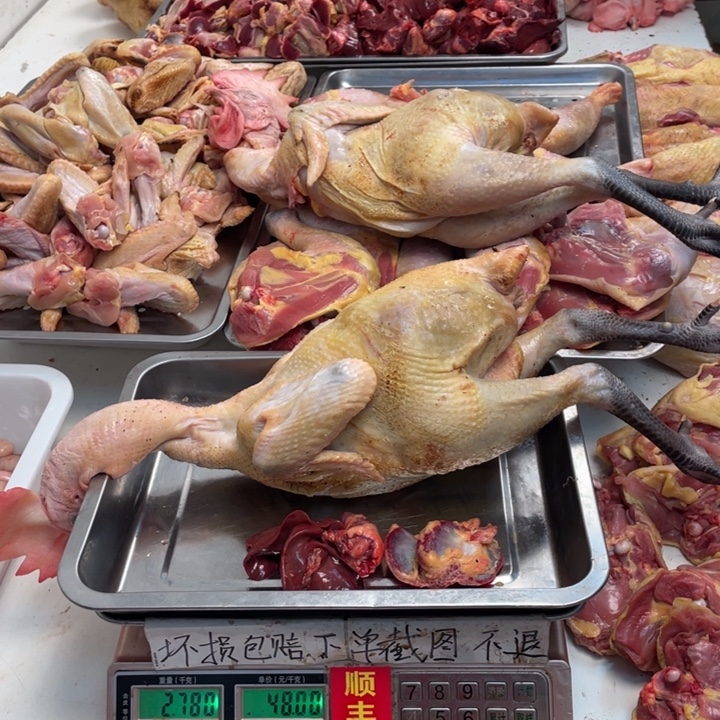 泔***清60天冷冻对版中国大陆包装