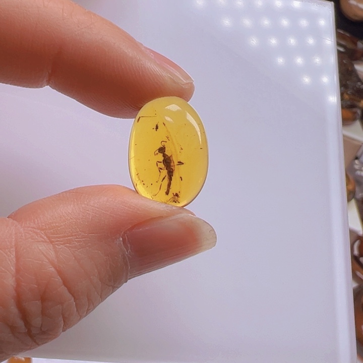 虫珀手链未镶嵌A*y天然缅甸虫珀戒指