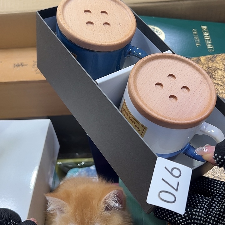 茶盏我的小可爱小猫咪们都好