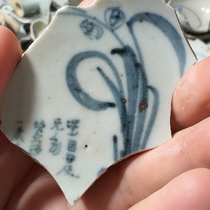 瓷片瓷片标本，顺丰包邮