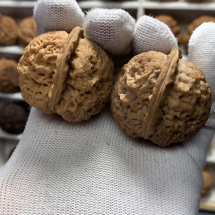 核桃39尺粗筋小锤26号