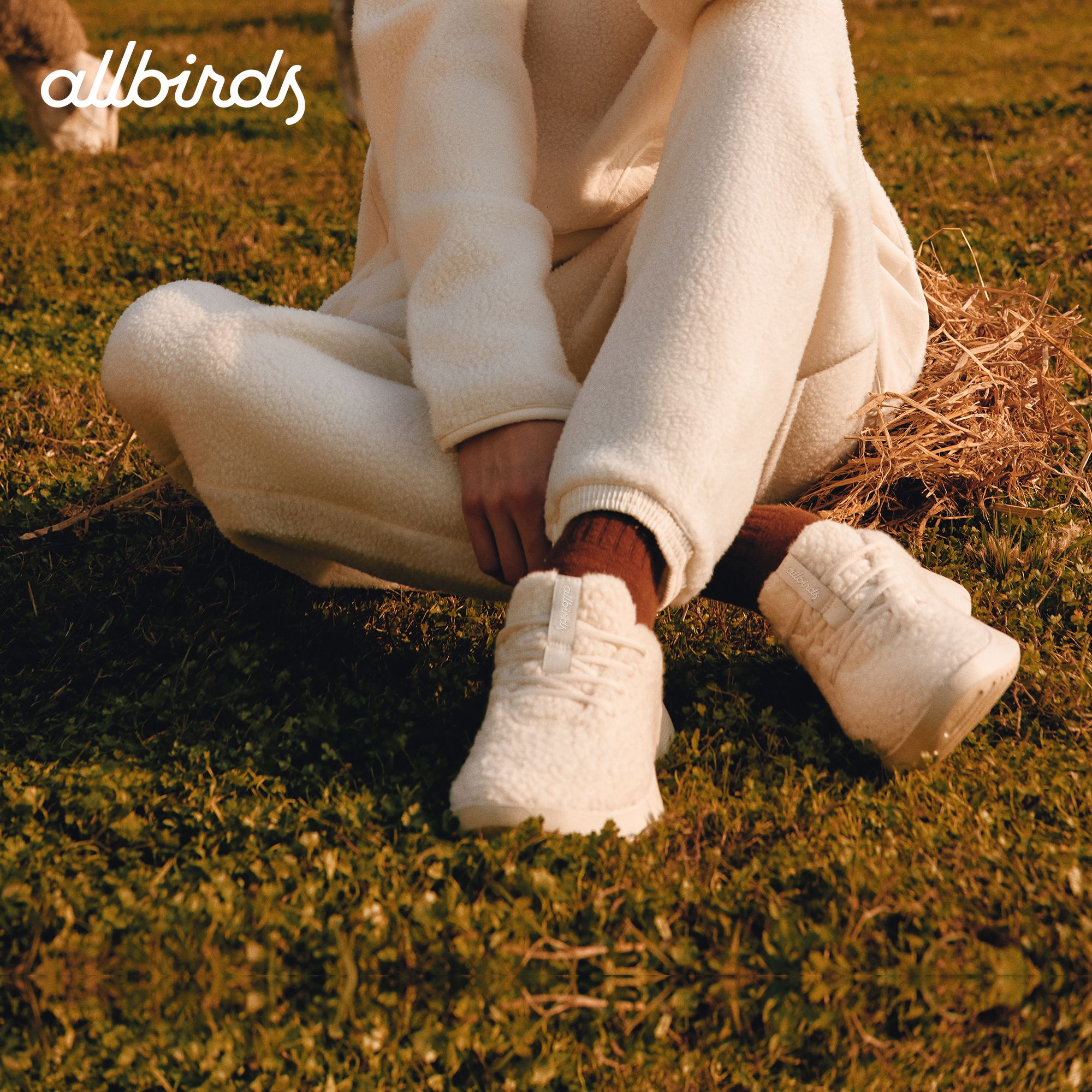 【典藏版】Allbirds Wool Runner NZ Fluff毛毛款三代保暖舒适女鞋