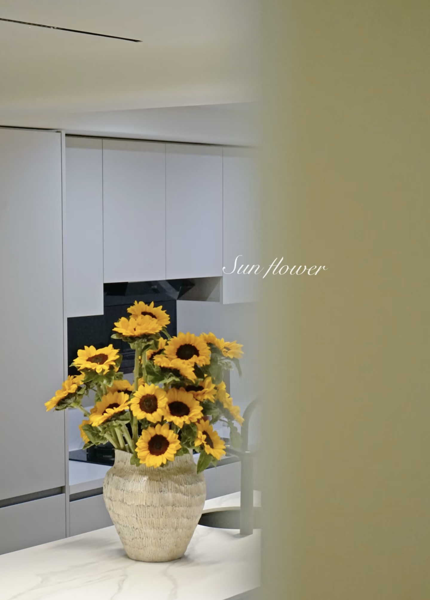 【向日葵云南】家用花束昆明斗南基地直发新鲜花卉5支向日葵花束