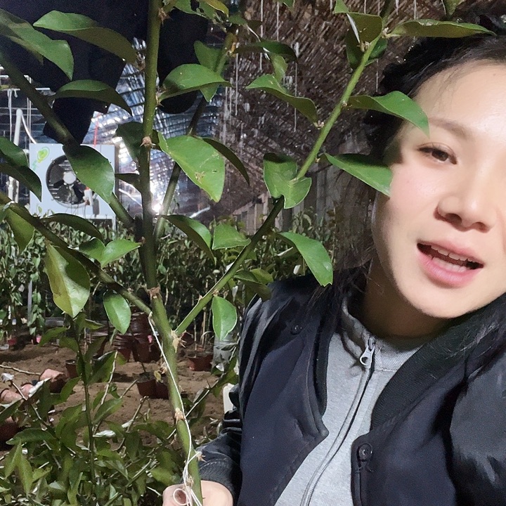 秋***玉0612美玉一颗五分枝叶仙