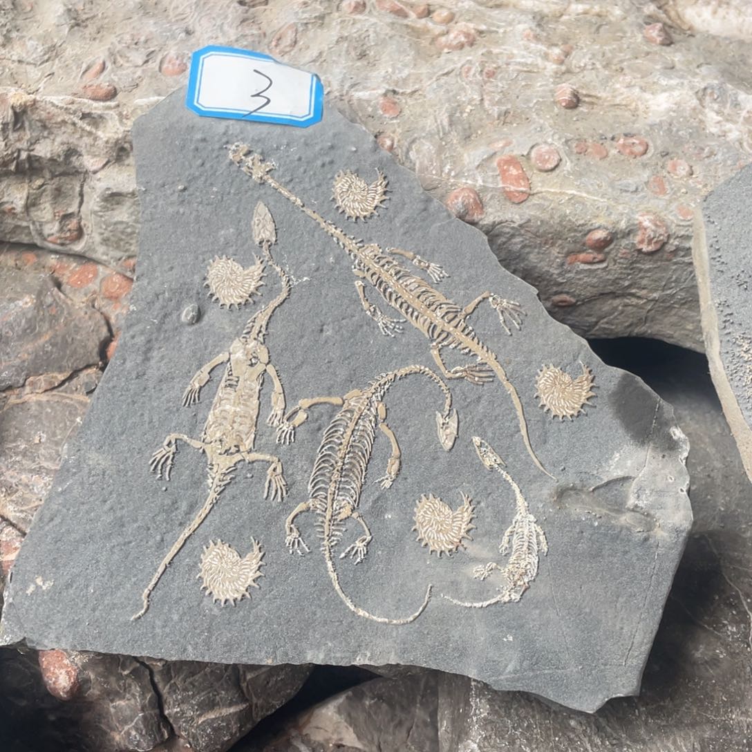 石材3333333333333333333333