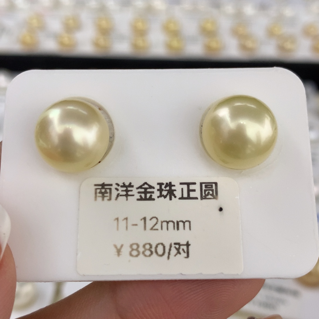 未镶嵌裸珠海水珍珠浅奶油金正圆对珠11-12mm
