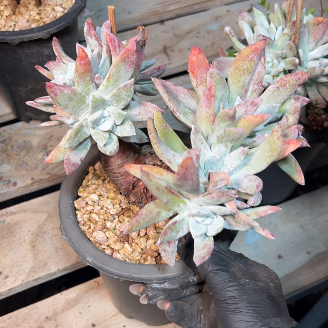 8953哈哈哈哈哈哈哈哈