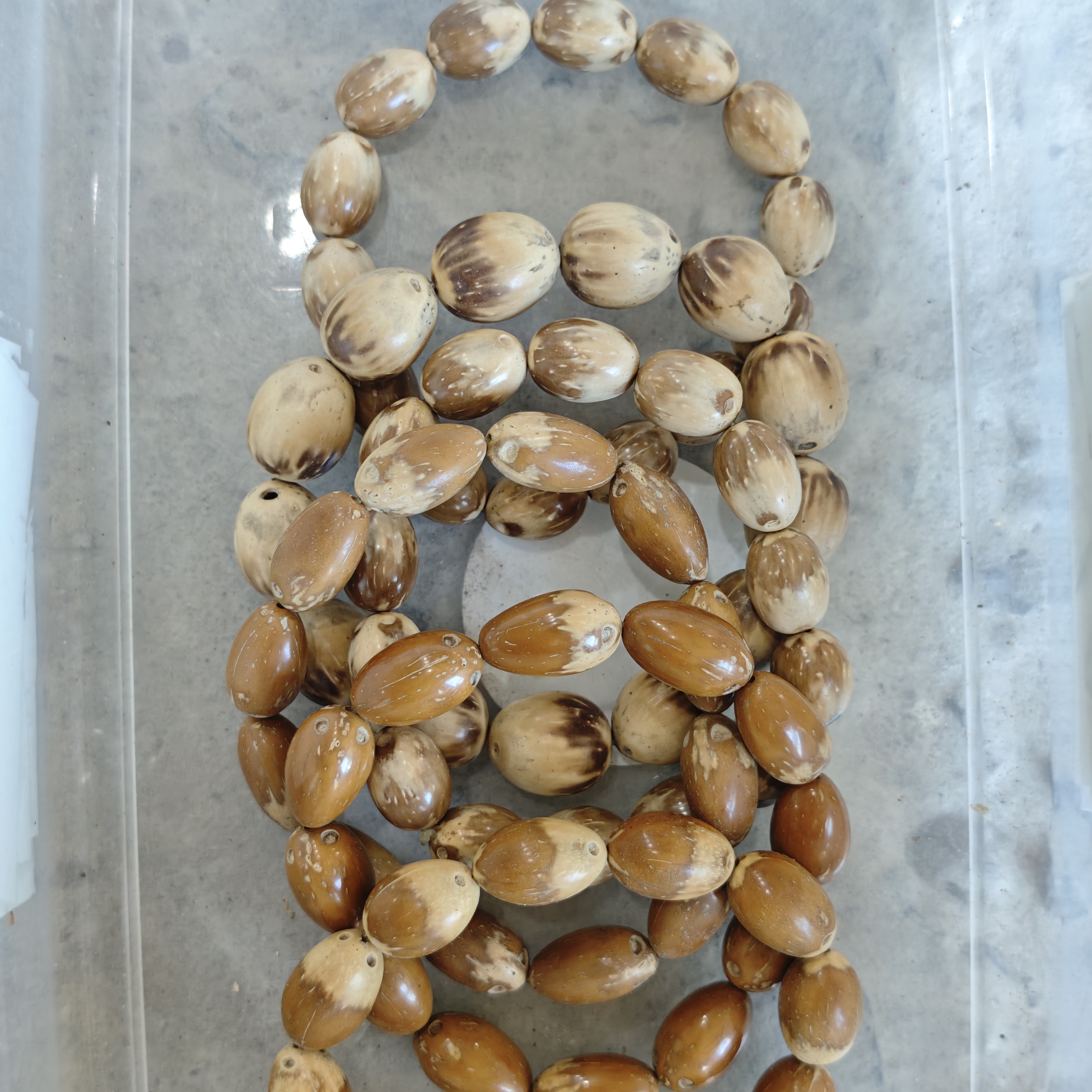 E281 紫金鼠枣珠单圈手串（尺寸样式多样性发其一）