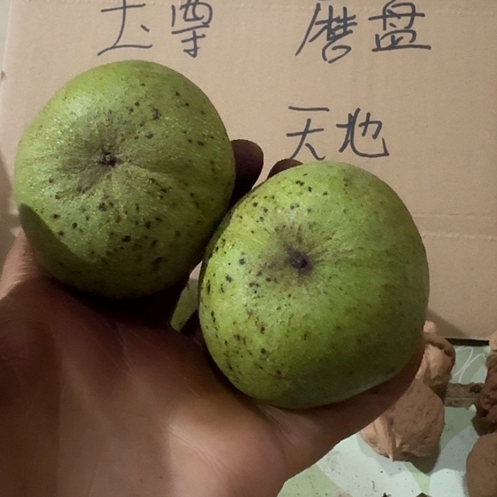 吊坠文玩核桃云*飘南瓜墩青皮