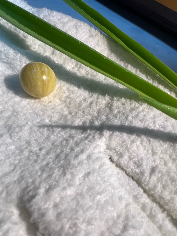 『骨艺精品』尺寸1.2正圆单珠-北极牛角拍17颗送带标单珠