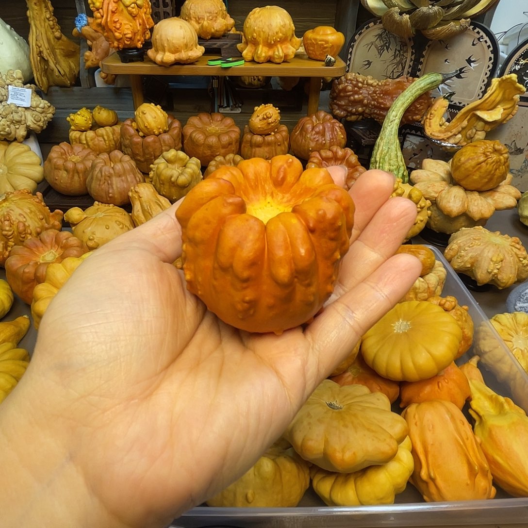 葫芦聚宝盆罐子 福利