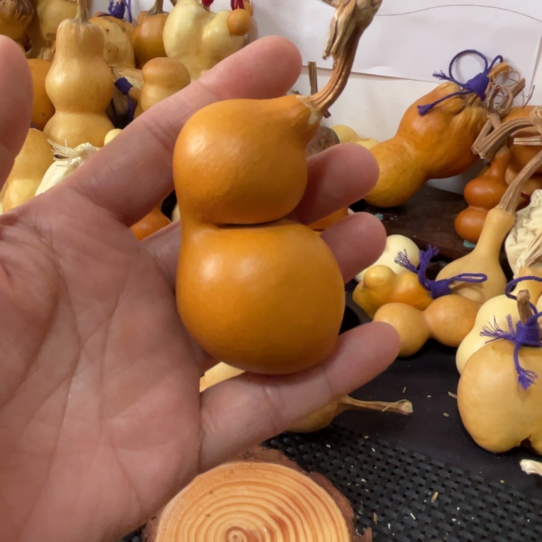 一***人葫芦哈哈哈哈哈哈哈哈