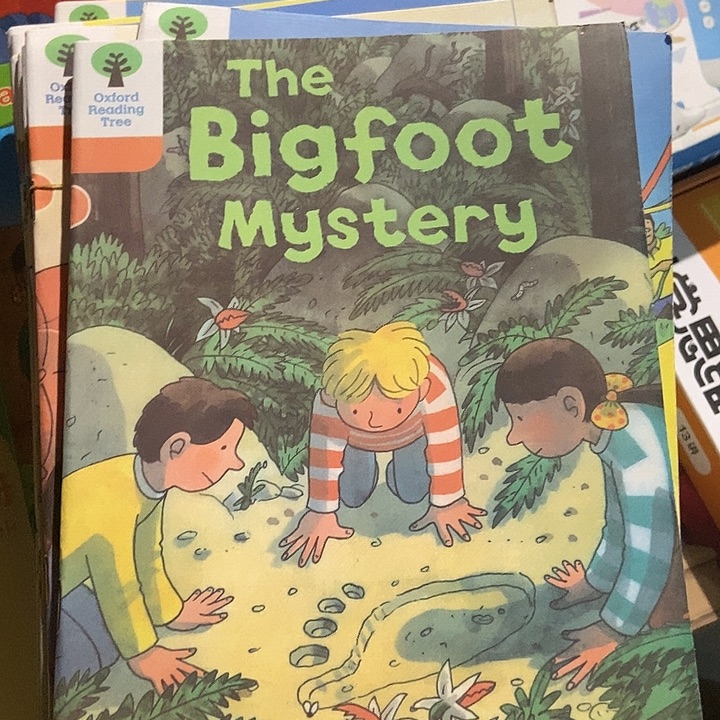 牛津树6-9DD 24本微瑕