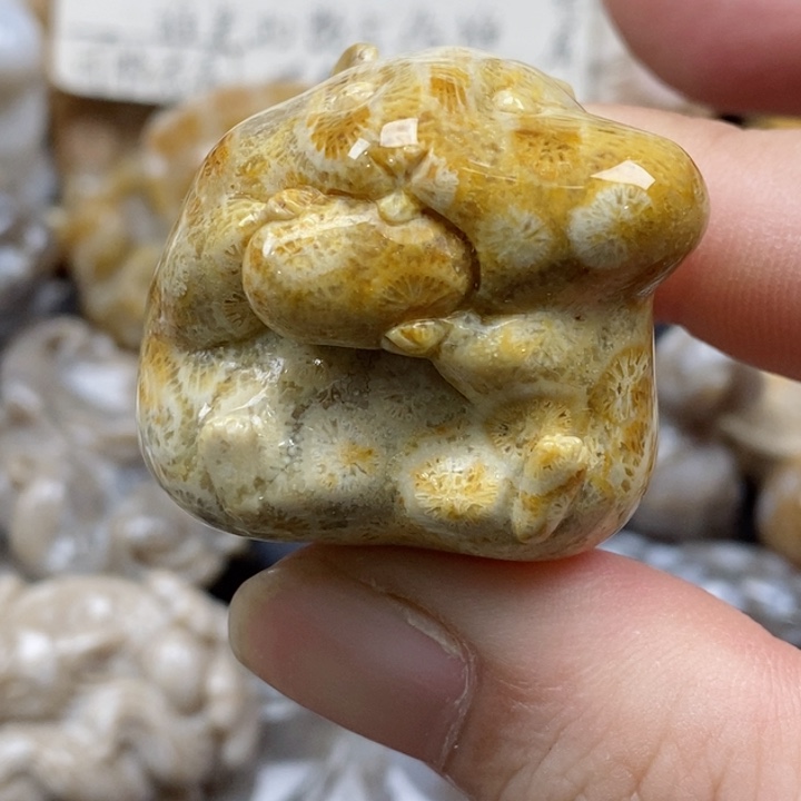 颈饰未镶嵌硅化珊瑚（珊瑚玉）