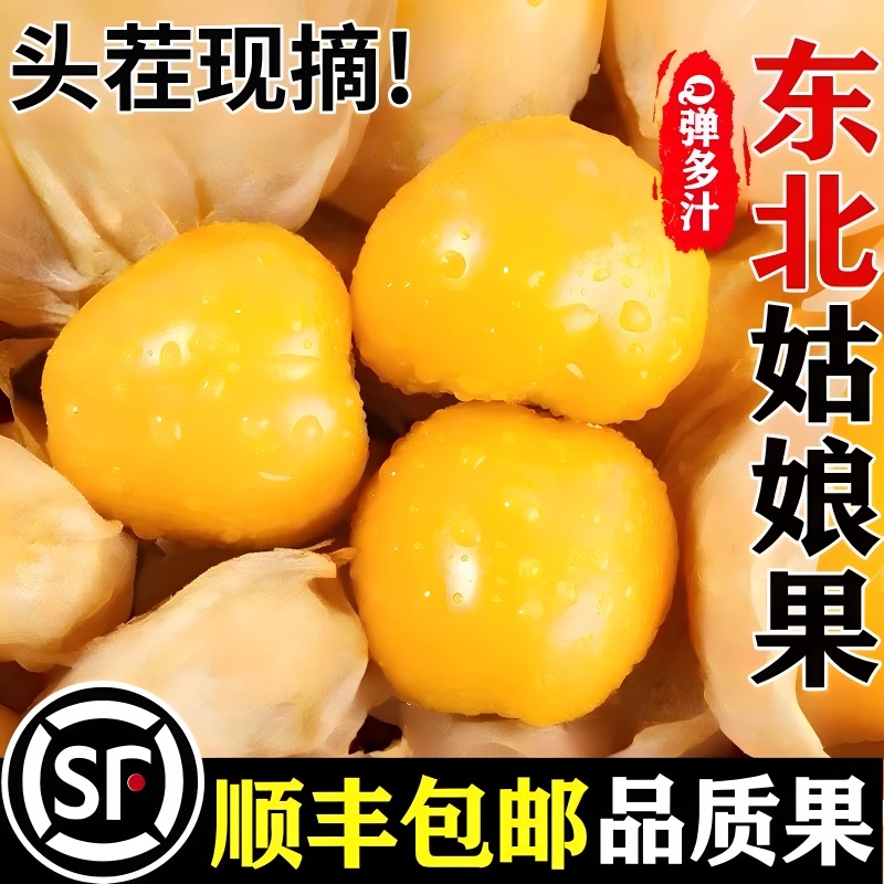【顺丰包邮】姑娘果 奶香 灯笼果 新鲜水果 应季水果 东北黑土地-XY