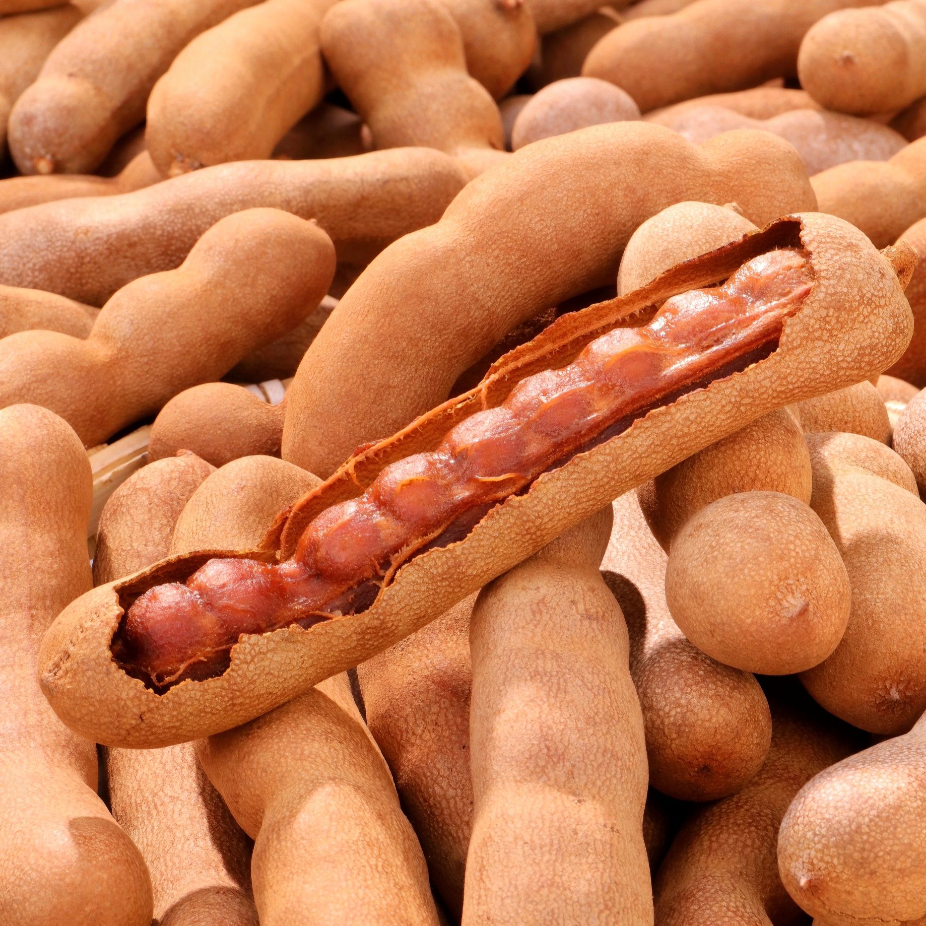 【甜酸角+大甜角组合装】云南特产新鲜甜酸角精选酸角量多实惠