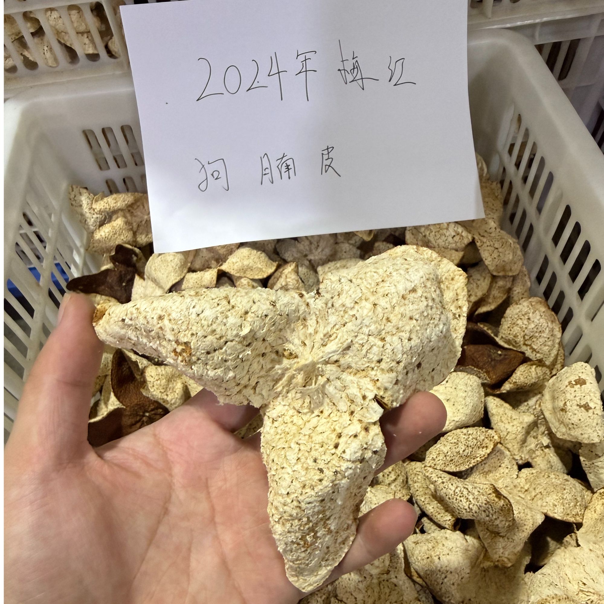 【狗腩】2024年梅江狗腩皮（老皮友囤皮首先）