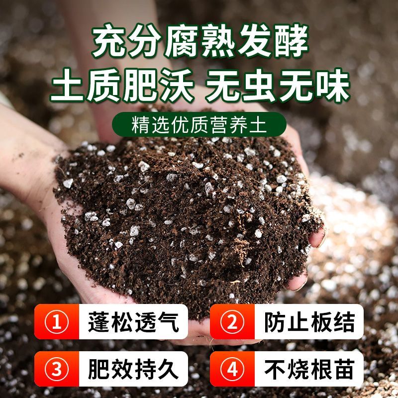 营养土蓝莓专用土壤通用型种植土盆栽绿植有机花土疏松透气肥料