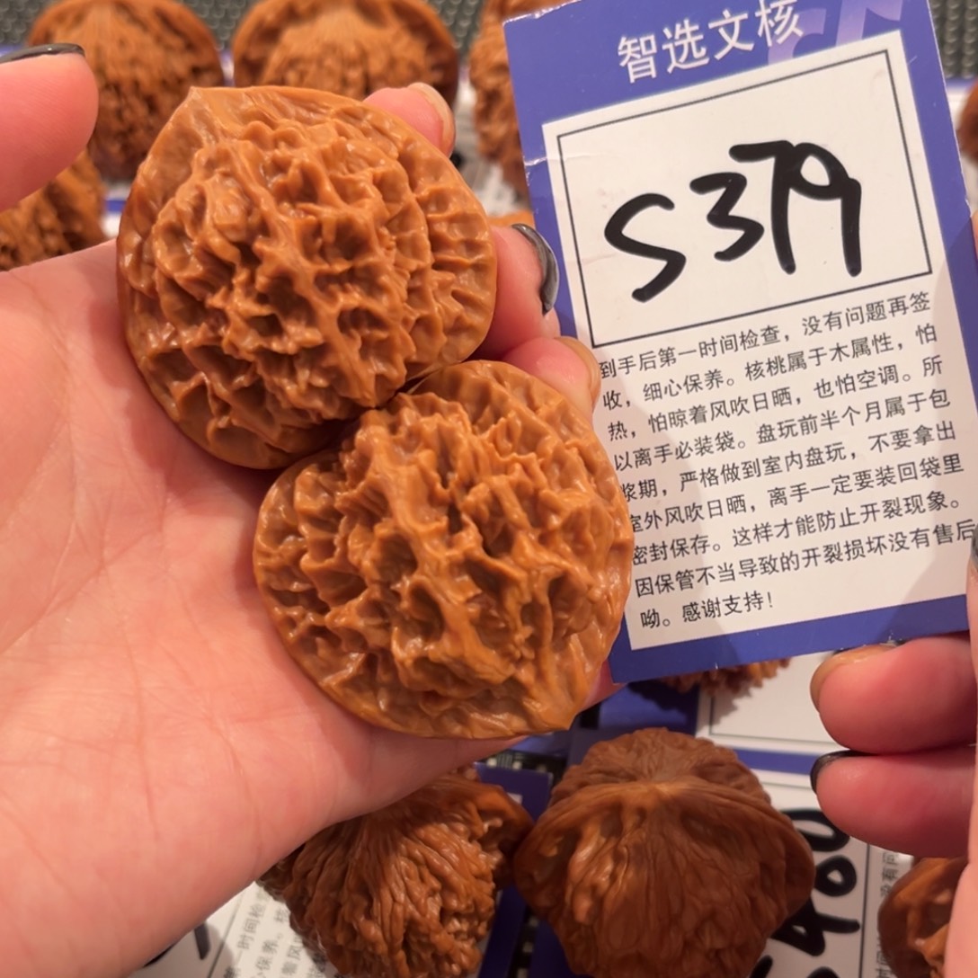 核桃S379号帝王44尺