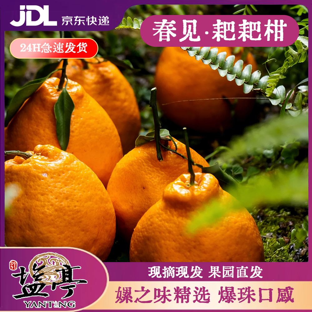 盐亭嫘之味正宗四川春见耙耙柑粑粑柑丑桔子新鲜当季现摘现发水果